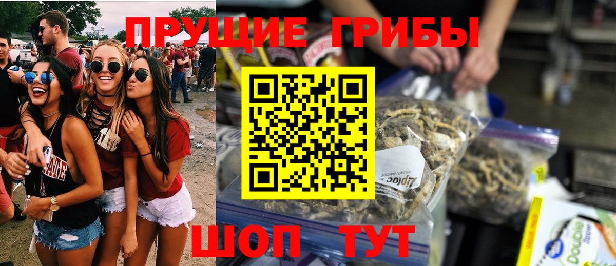 Псилоцибиновые грибы MAGIC MUSHROOMS Кашира