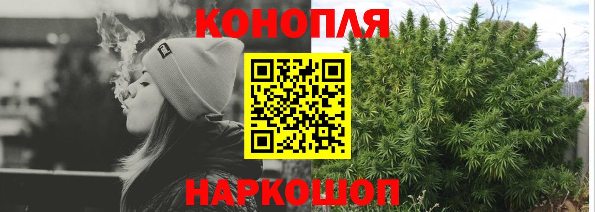 Галлюциногенные грибы Кашира